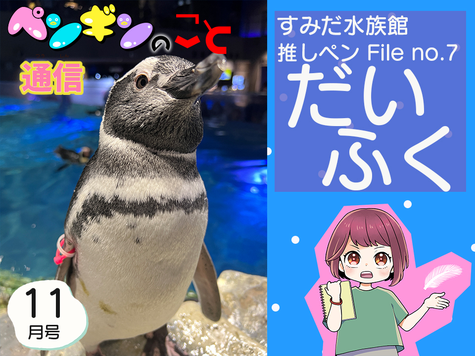 ペンギンのこと通信【11月号】すみだ水族館推しペンFile no.7：だ