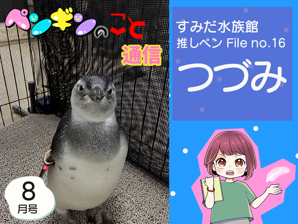 ペンギンのこと通信【8月号】すみだ水族館推しペンFile no.16：つづみ