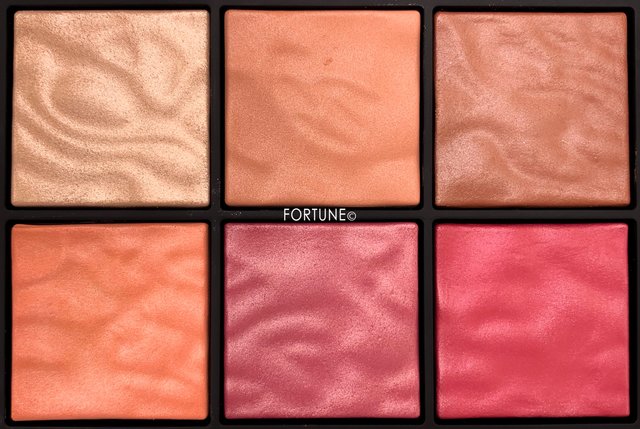 NARS 2019春夏新作》限定『エクスポーズド チークパレット』をレビュー