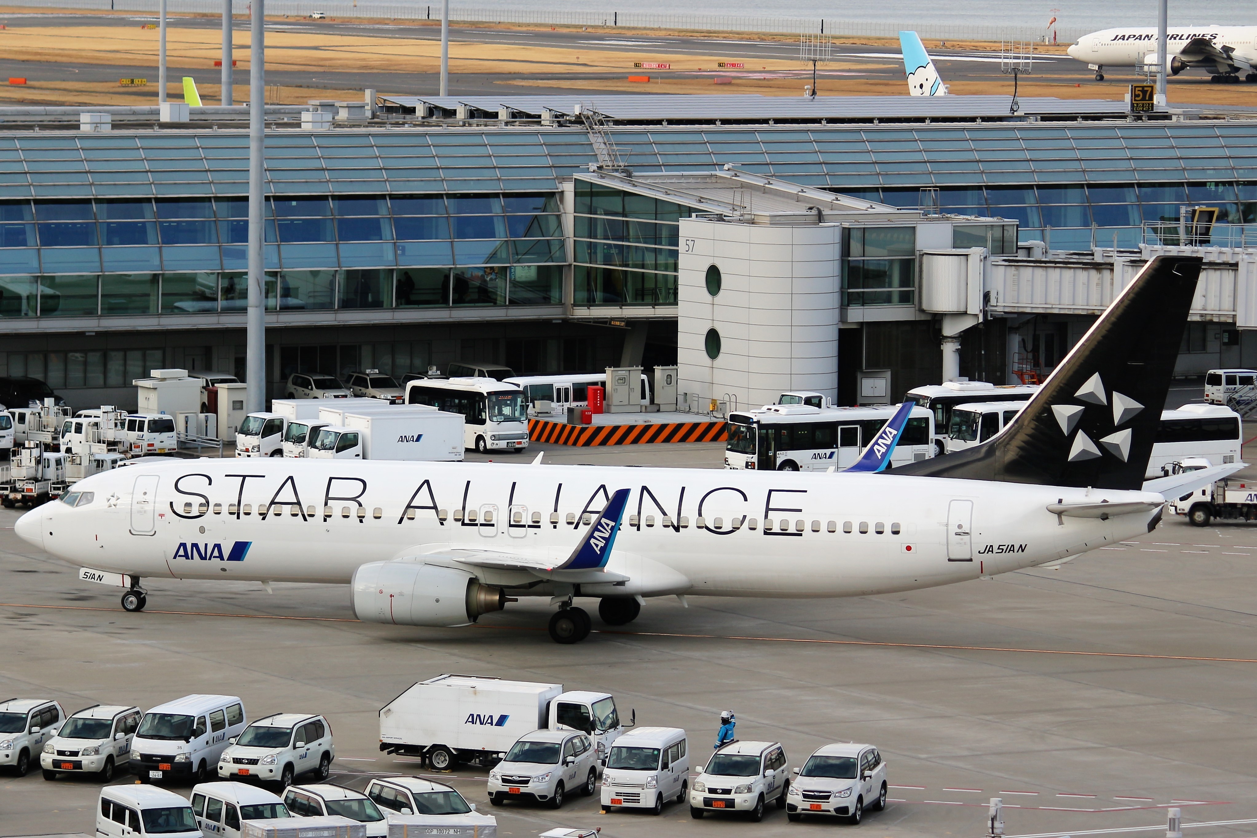 JA51AN [ANA(全日空) ボーイング737-800] | 航空機運航情報まとめ