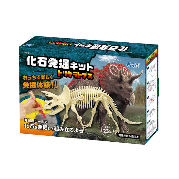 アーテック 化石発掘キット トリケラトプス 55481 1セット - アスクル