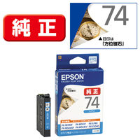エプソン (EPSON) ICBK76(地球儀) 純正インクカートリッジ ブラック(大