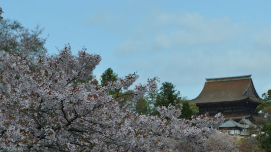 吉野山金峯山寺～春の秘仏ご本尊特別御開帳～と周辺散策ツアー - ＜MK