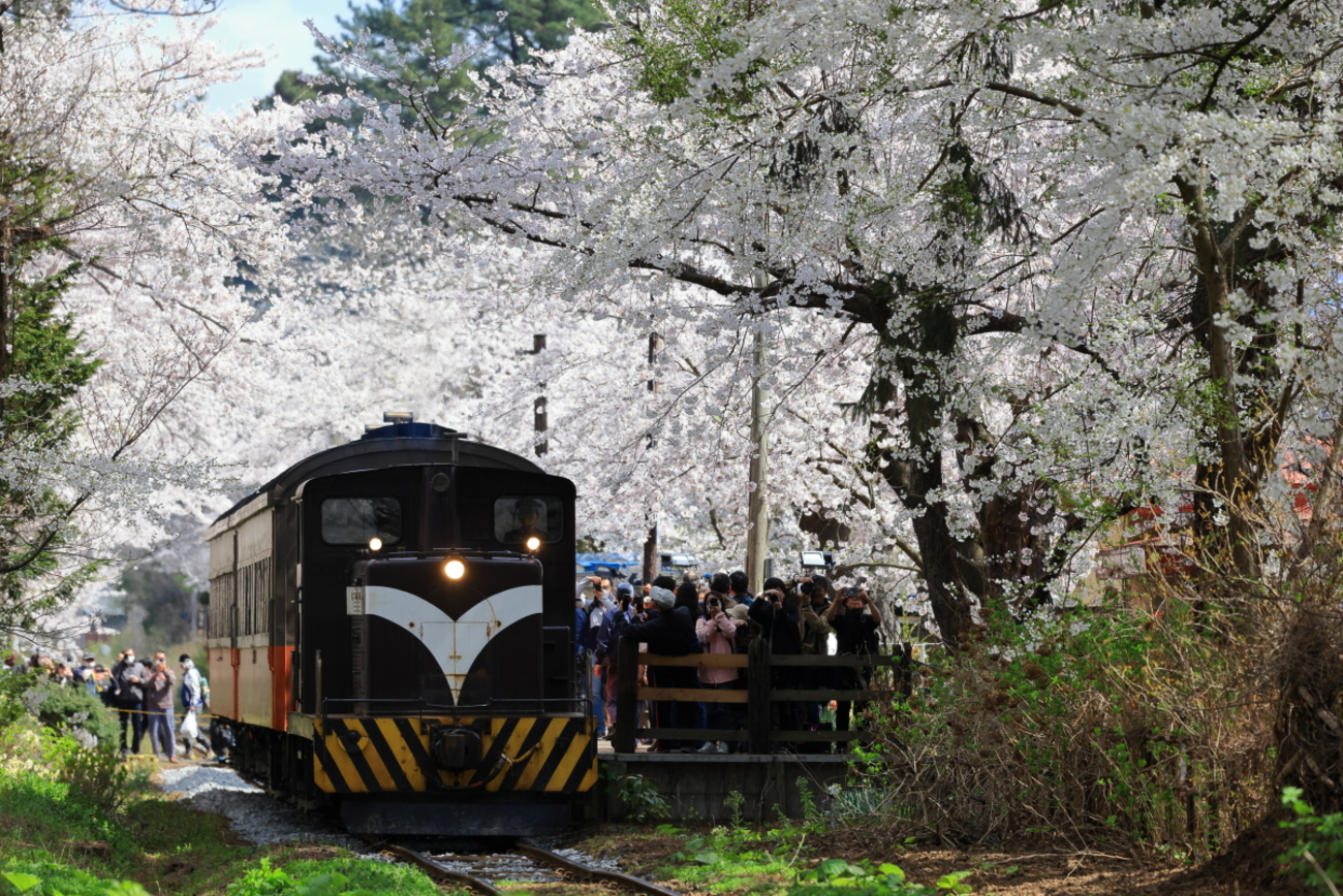 backend=imagemagick;version=1;