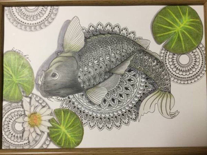 原画 肉筆 一点もの ボールペンアート 鯉 「健やかな成長」 額装付き