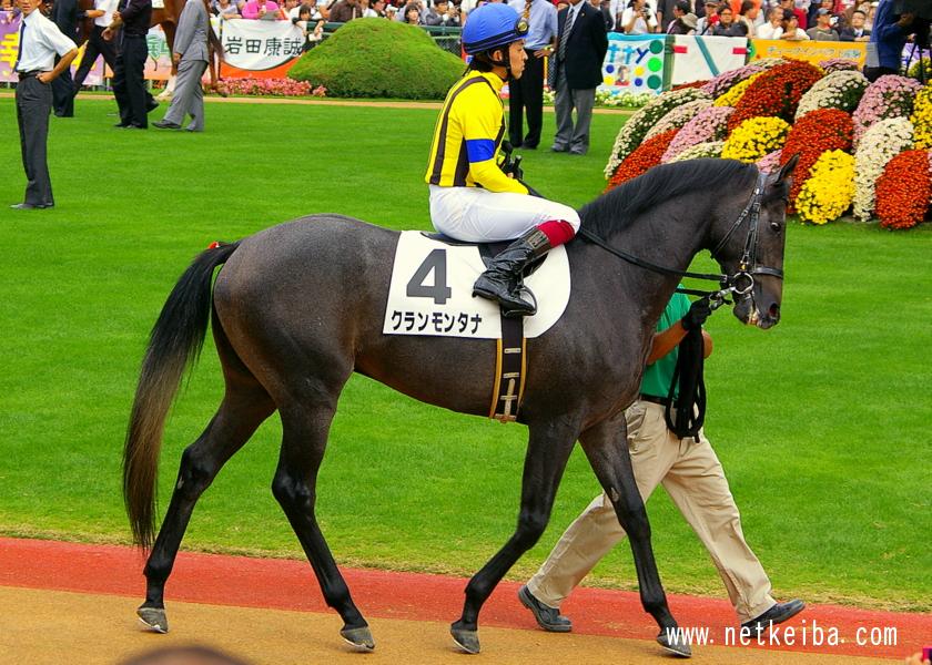 クランモンタナ (Crans Montana) | 競走馬データ - netkeiba
