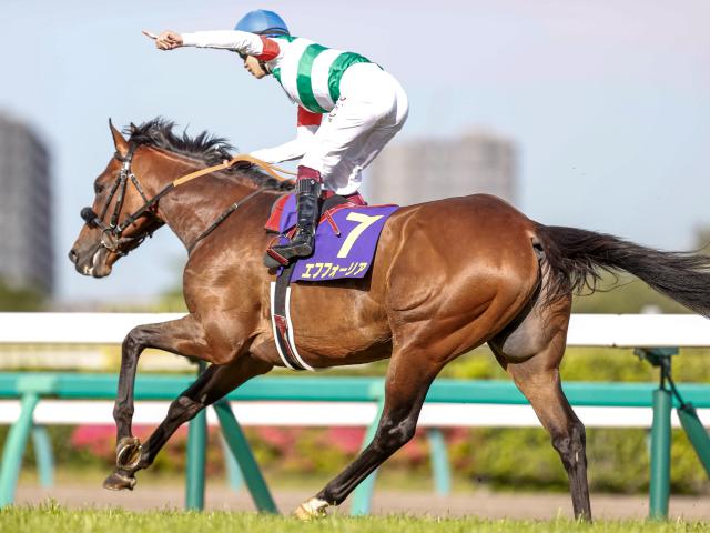 勝負の分かれ目 皐月賞】人馬一体となって高め合い、横山武史騎手と