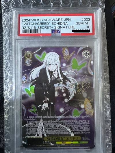 PSA10】