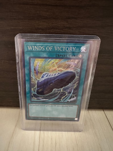 WINDS OF VICTORY SE [NKC1-EN001](遊戯王 x ナイキ エアーマックス 95