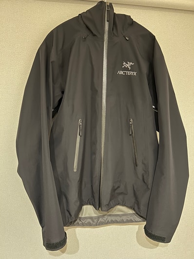 ARC'TERYX Walk Gently Beta SL Jacket Men's 