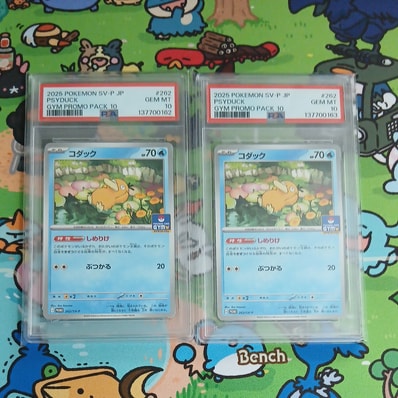 コダック P [SV-P 262](プロモカードパック「第10弾」)の新品/中古