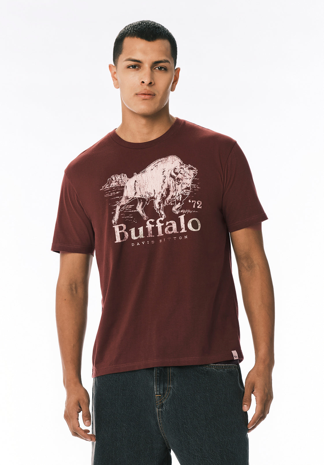 NEW TEES NEW FITS – Buffalo Jeans