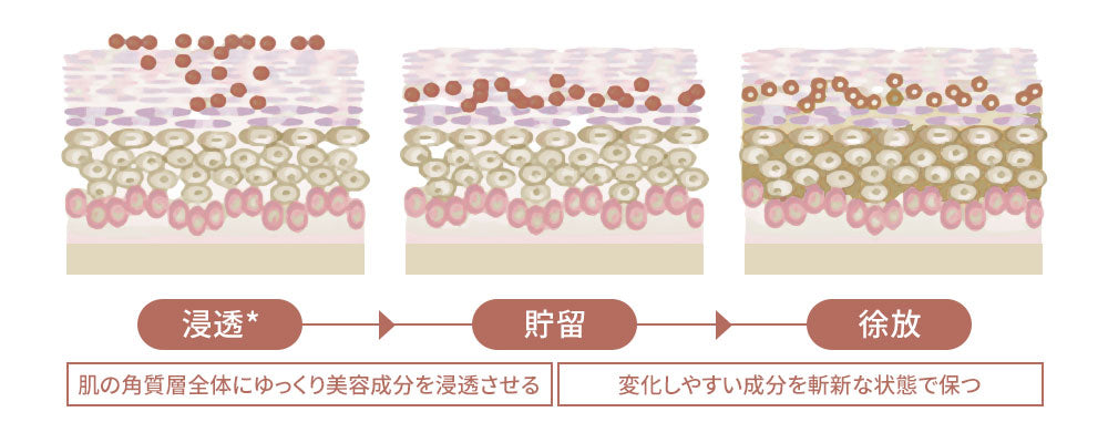 定期便】ANELA BEAUTY PLUMPER SERUM RICH