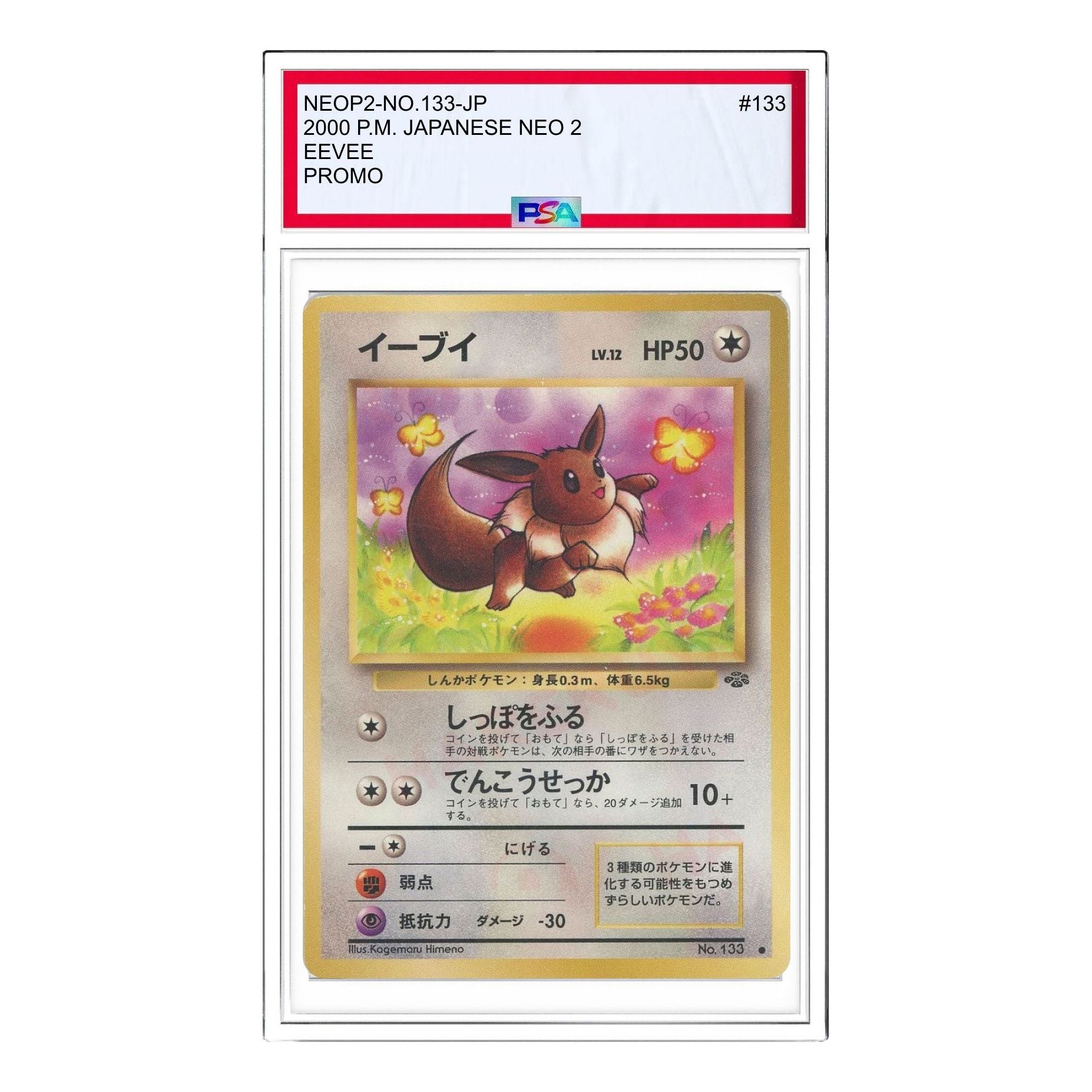 Pokemon Premium File 2 [neoP2 No.133] 'Eevee Premium File 2: Old