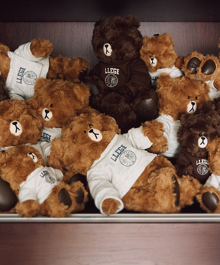 RECTO X BROWN クラシックぬいぐるみ チョコレートブラウン – LINE