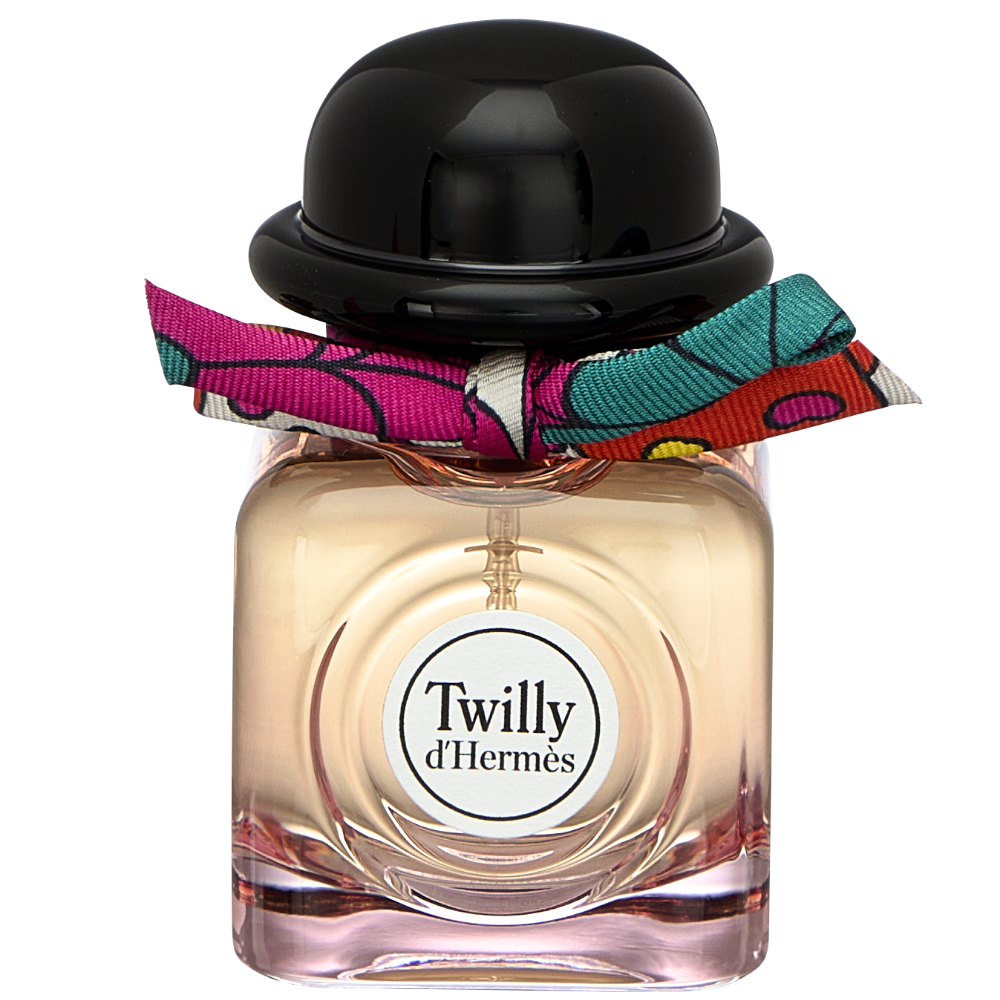 Hermes Terre D'Hermes Eau De Toilette 100ml – Justmylook