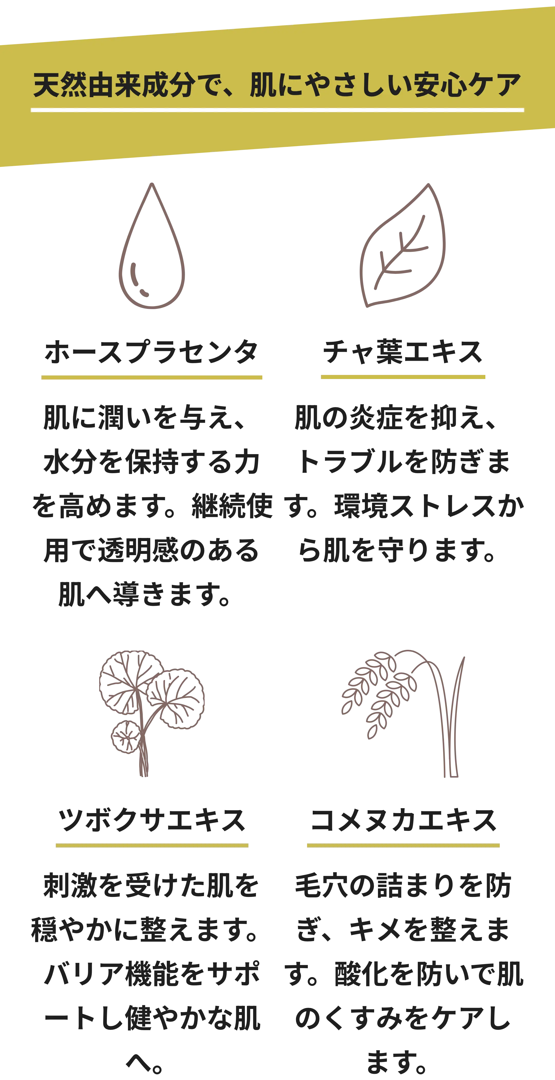BIO フェイスウォッシュ – BIO SKIN LAB