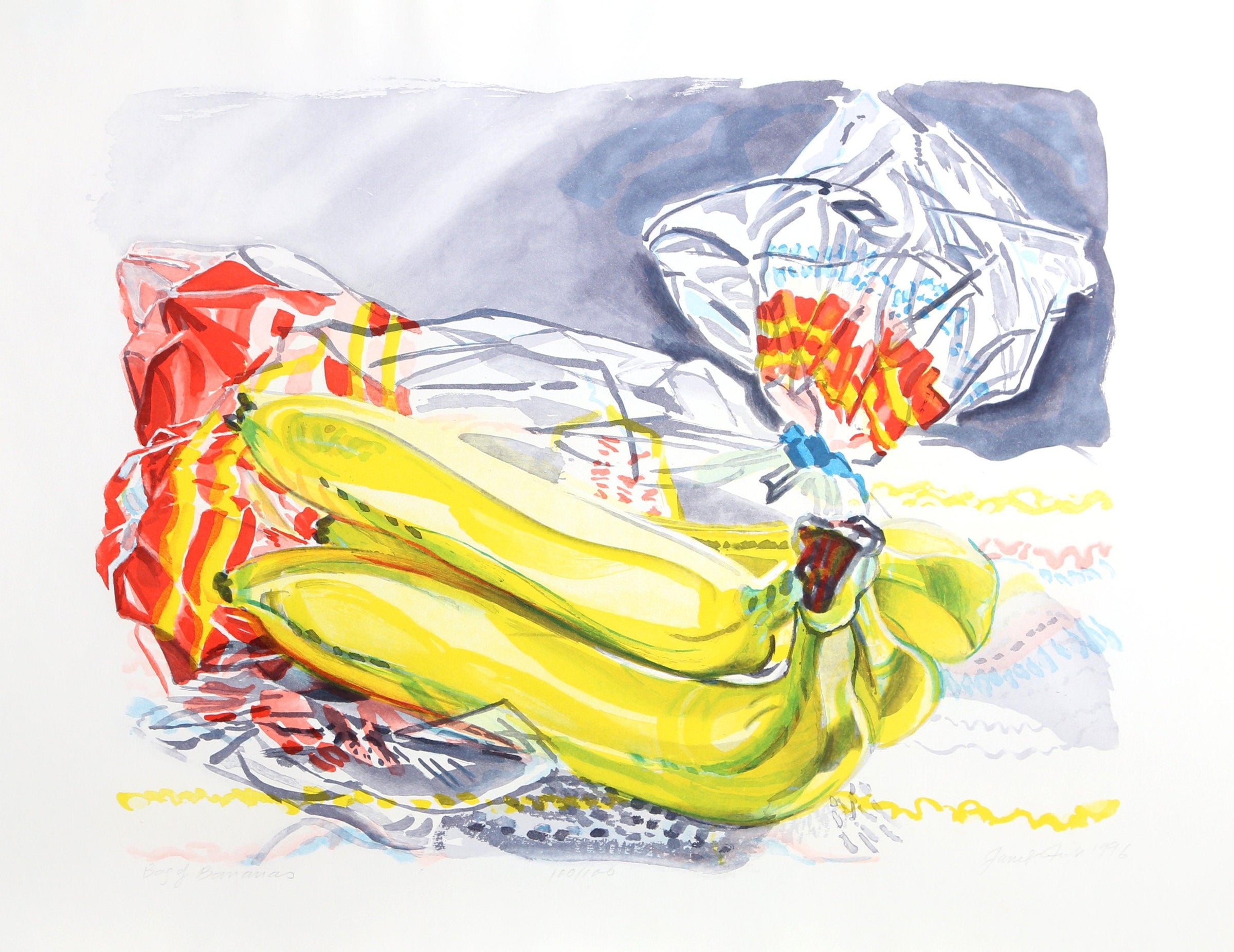 Bag Of Bananas | Janet Fish | RoGallery