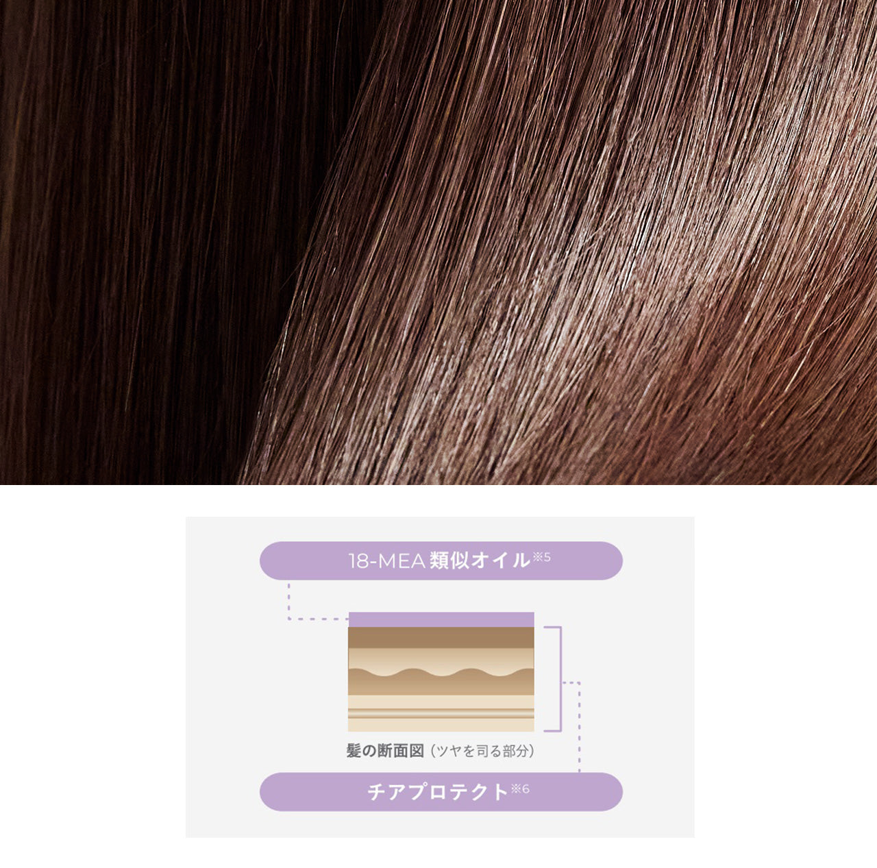 ナンバーエス ツヤカラーコントロール シャンプー つめかえ | Number.S