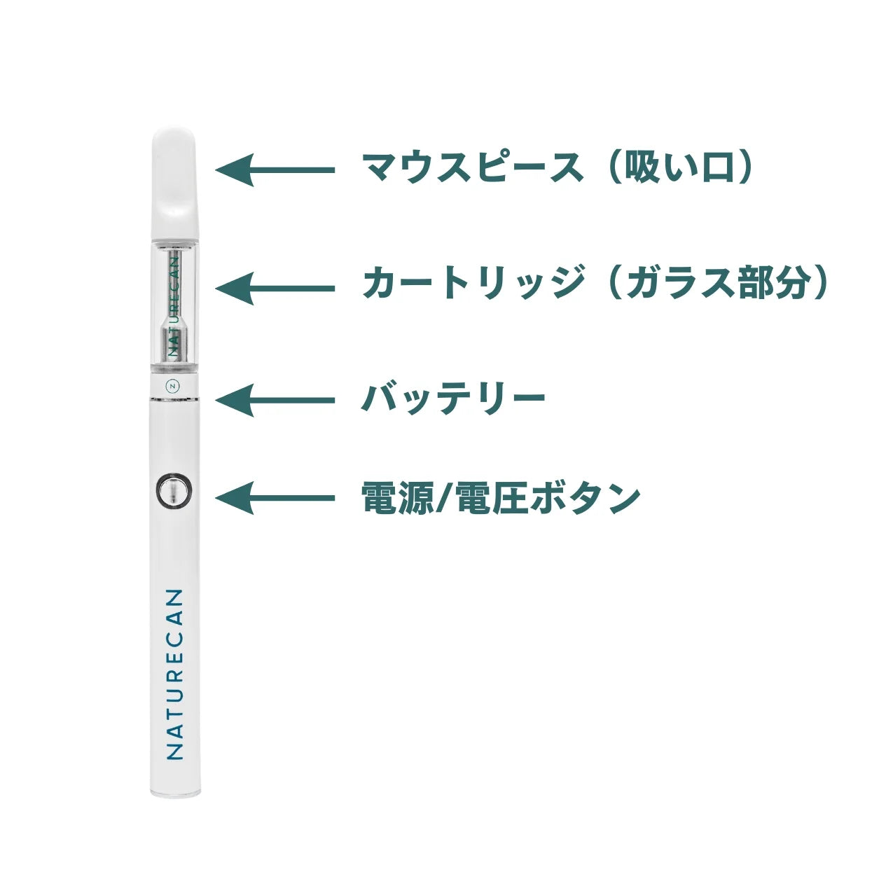 ベイプペンキット 使用方法記載ページ – Naturecan JP