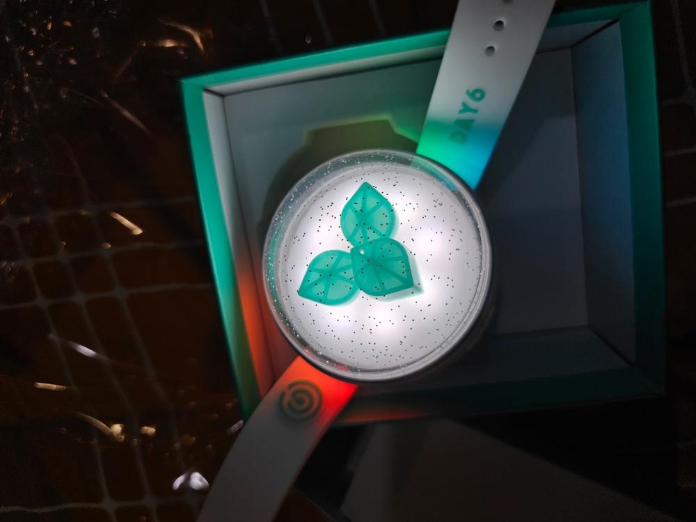 DAY6 - OFFICIAL LIGHT BAND VER 3