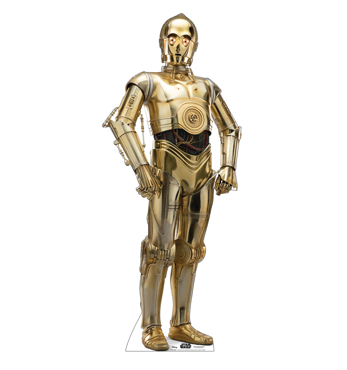 Standout C-3PO Life-Sized Cutout | Star Wars Party Decor