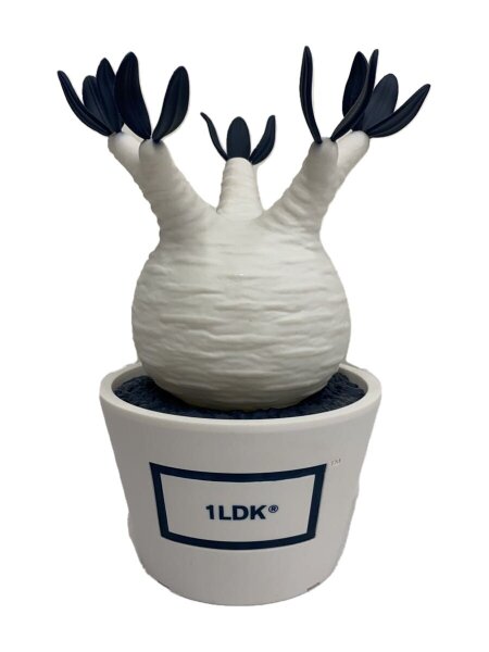 MEDICOM TOY(メディコムトイ) / ×1LDK×BOTANIZE/vcd pachypodium