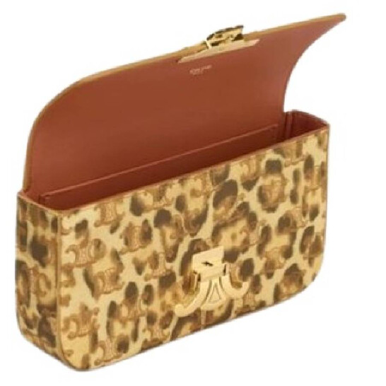 Celine All Over Print Chain Shoulder Bag 115202FP3.19LE