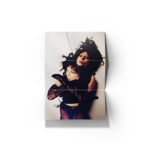 レディー・ガガ 直筆サイン入り写真 Lady Gaga y8 レディー・ガガ直筆