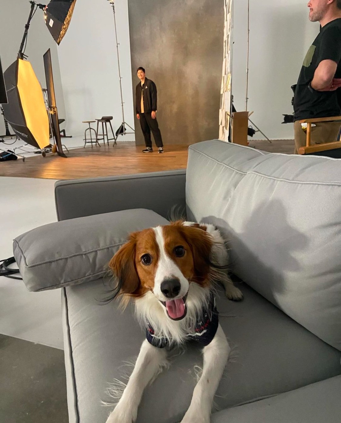 画像・写真 | 大谷翔平＆デコピンがニューバランス社訪問 ソファで