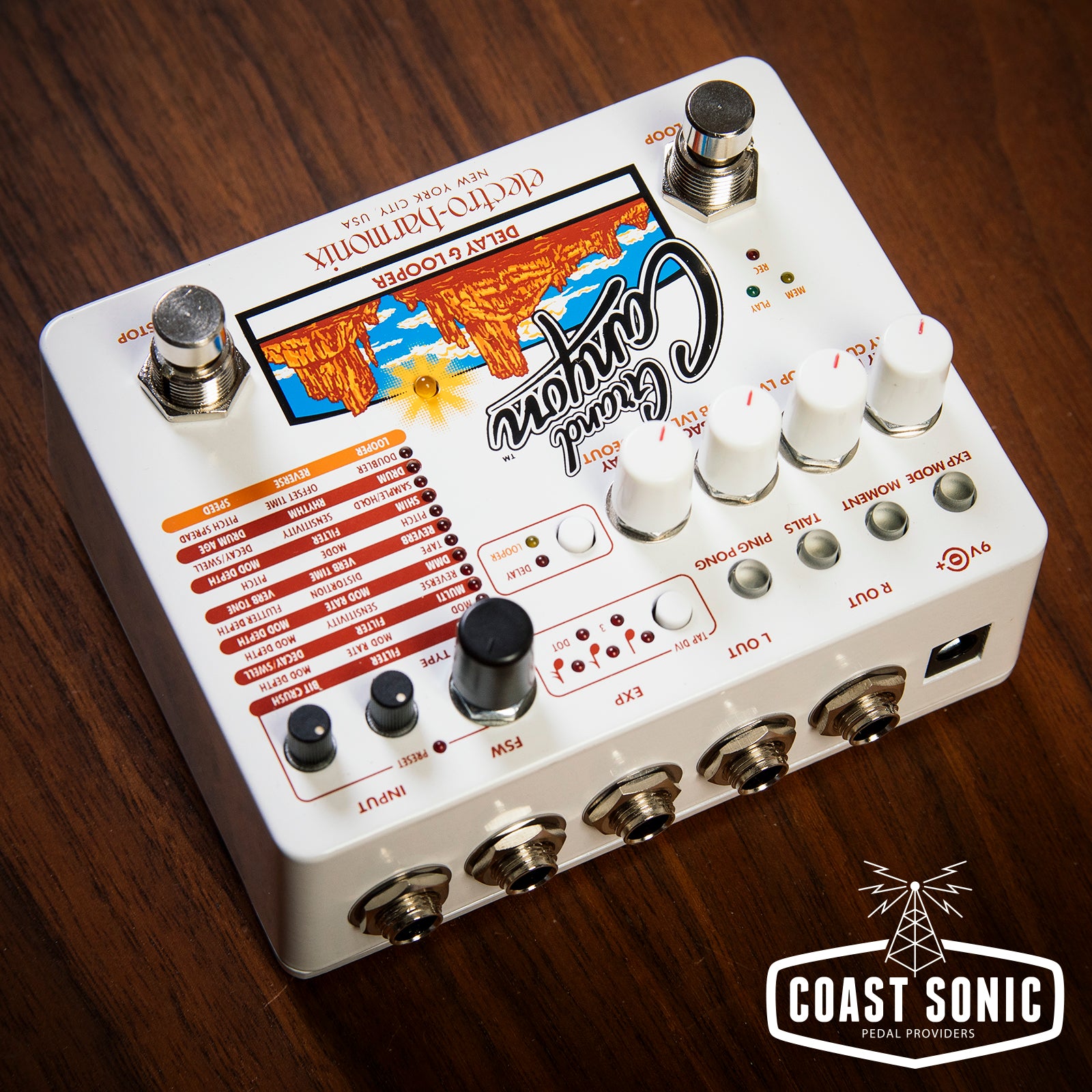 Electro-Harmonix Grand Canyon Delay & Looper