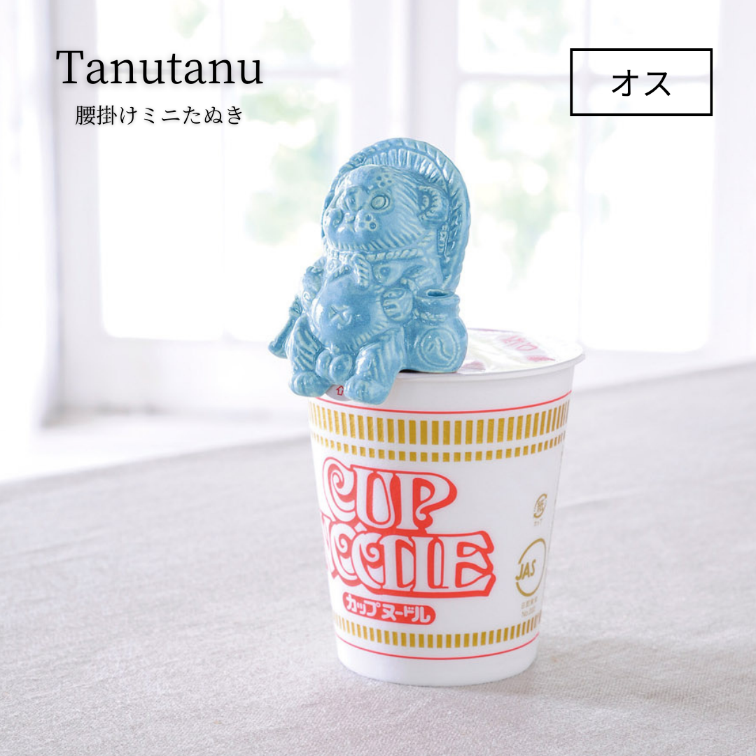 ヤマ庄陶器】Tanutanu ［オス］（ブルー・イエロー・ピンク・グリーン