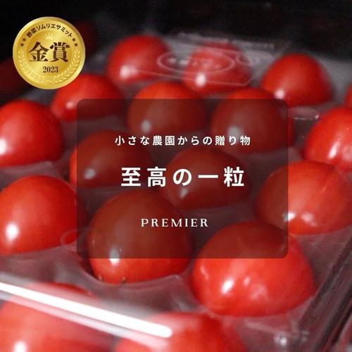 ⭐︎金賞受賞⭐︎ミサトファームの美健トマト®︎「プチぷよ」1箱40粒