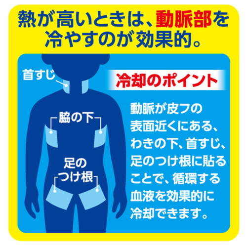 アイスノン 冷却シート大判サイズ10枚 | 保冷用品 | 介護用品・福祉