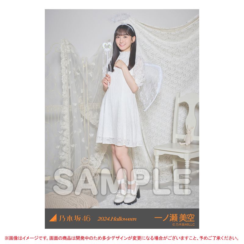乃木坂46 OFFICIAL WEB SHOP | 乃木坂46 グッズ通販サイト