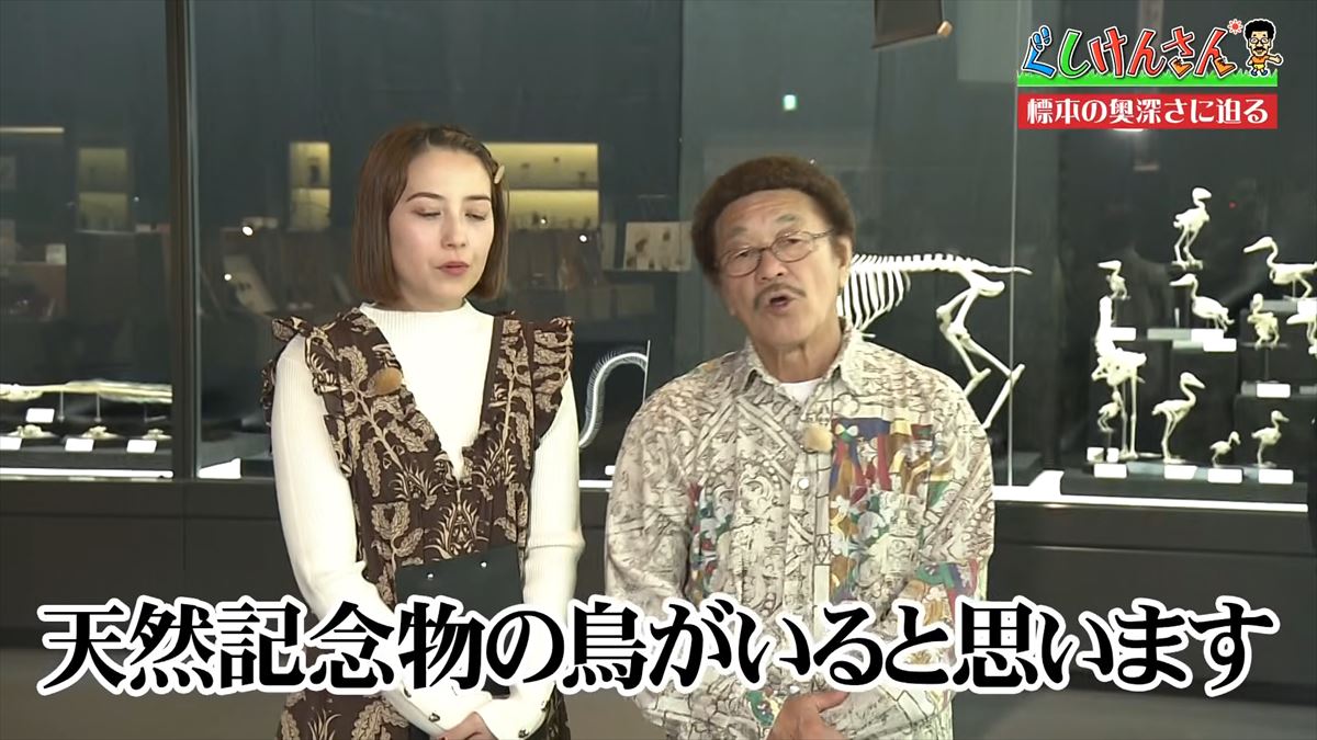 ぐしけんさん のプロフィール | OKITIVE