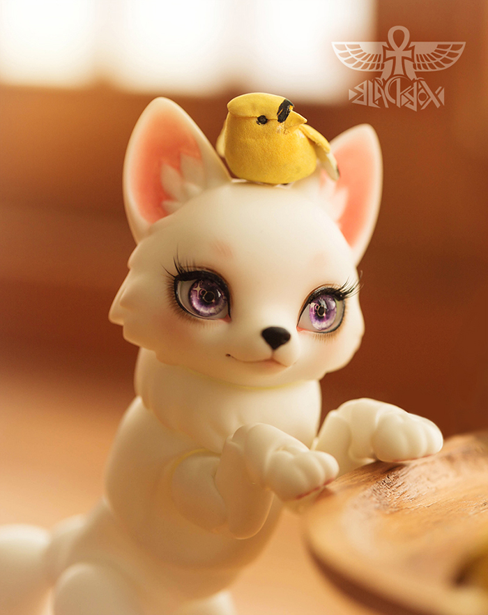 期間限定】MOCHI (天狐)｜DOLK（ドルク）