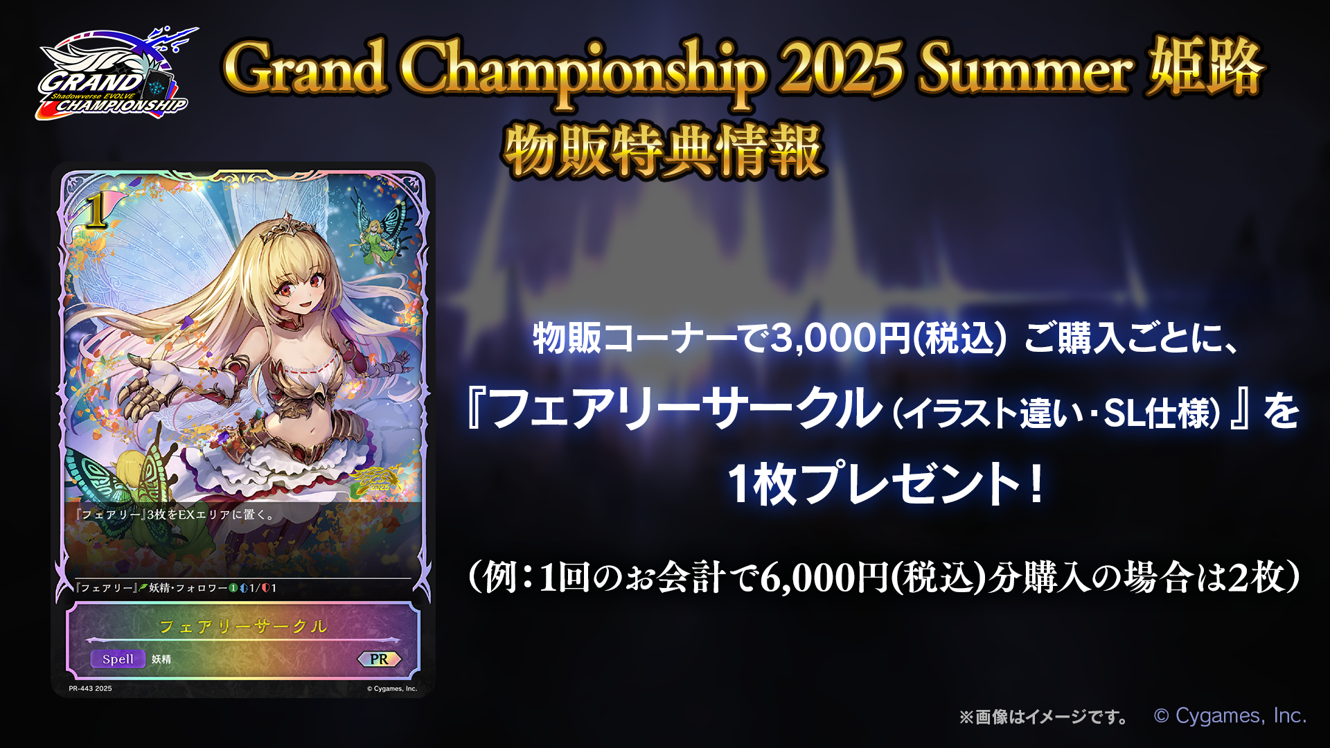 Shadowverse EVOLVE Grand Championship 2025 Summer 姫路｜トレカ専門