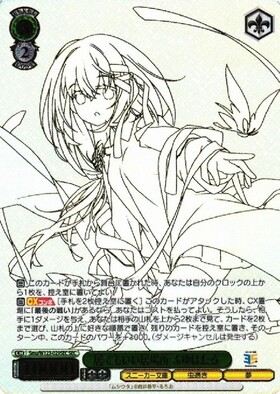 居てもいい居場所 ふゆほたる(Smu/W123-029SEC) | SEC | ドラゴン