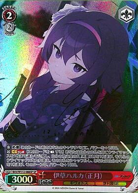 伊草ハルカ(正月)(SP/サイン)(BAV/W112-088SP) | SP | ドラゴンスター