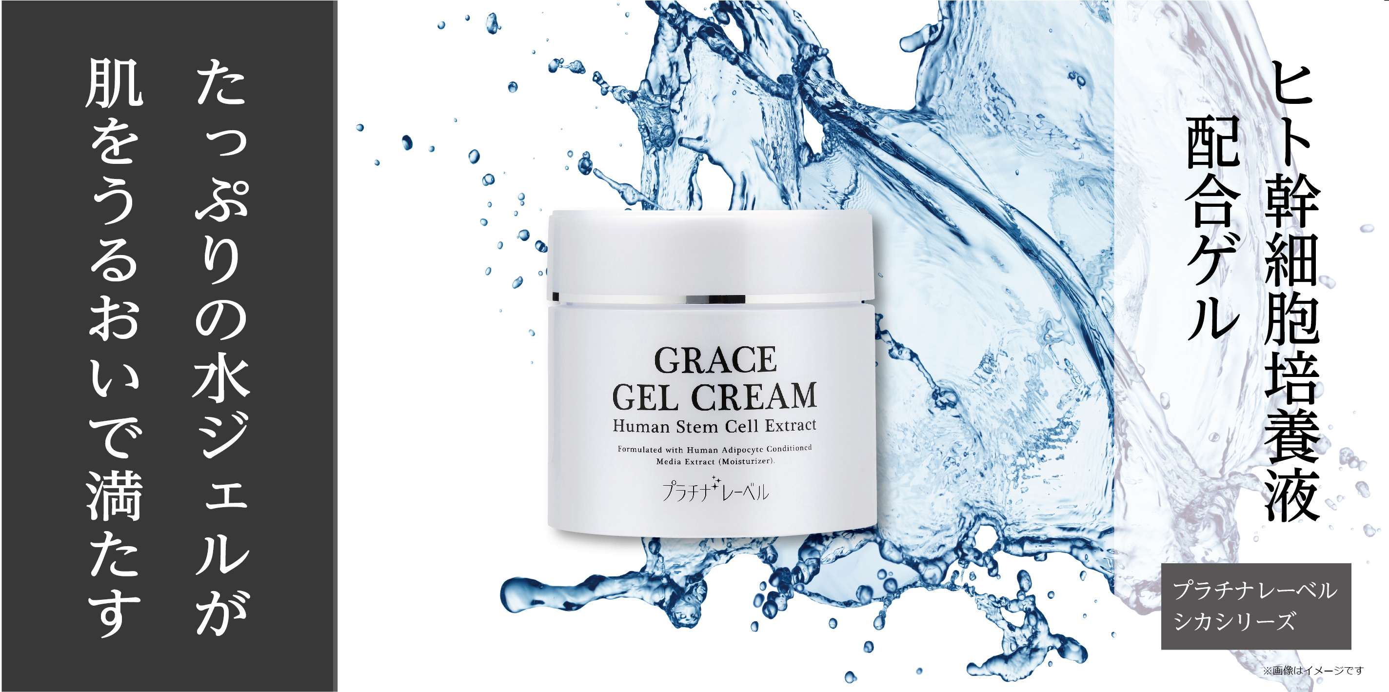 FairLady Rich Gel Lifewell フェアレディリッチジェル Lifewell