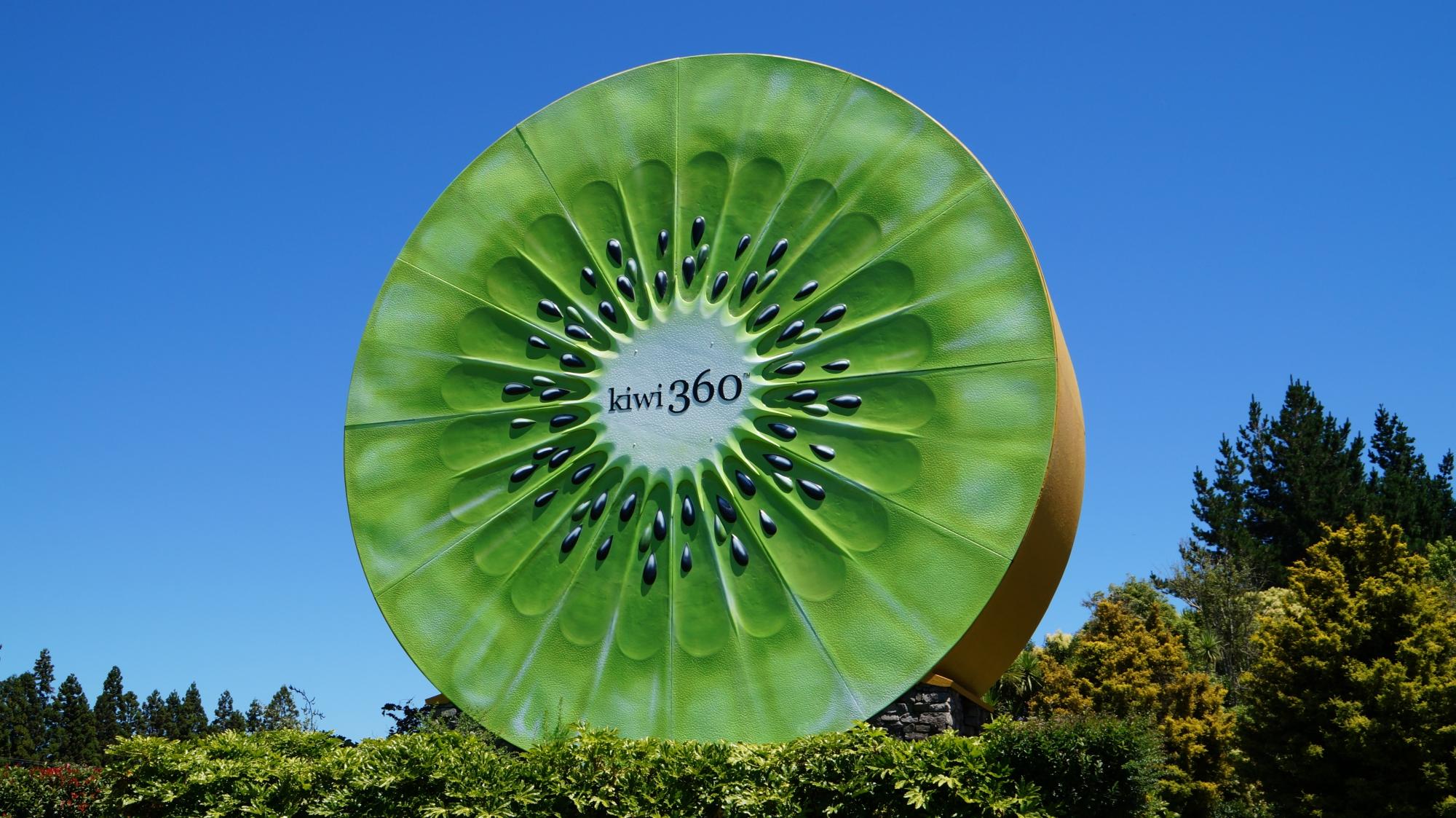 Kiwi 360 (2026) All You MUST Know Before You Go (w/ Reviews)