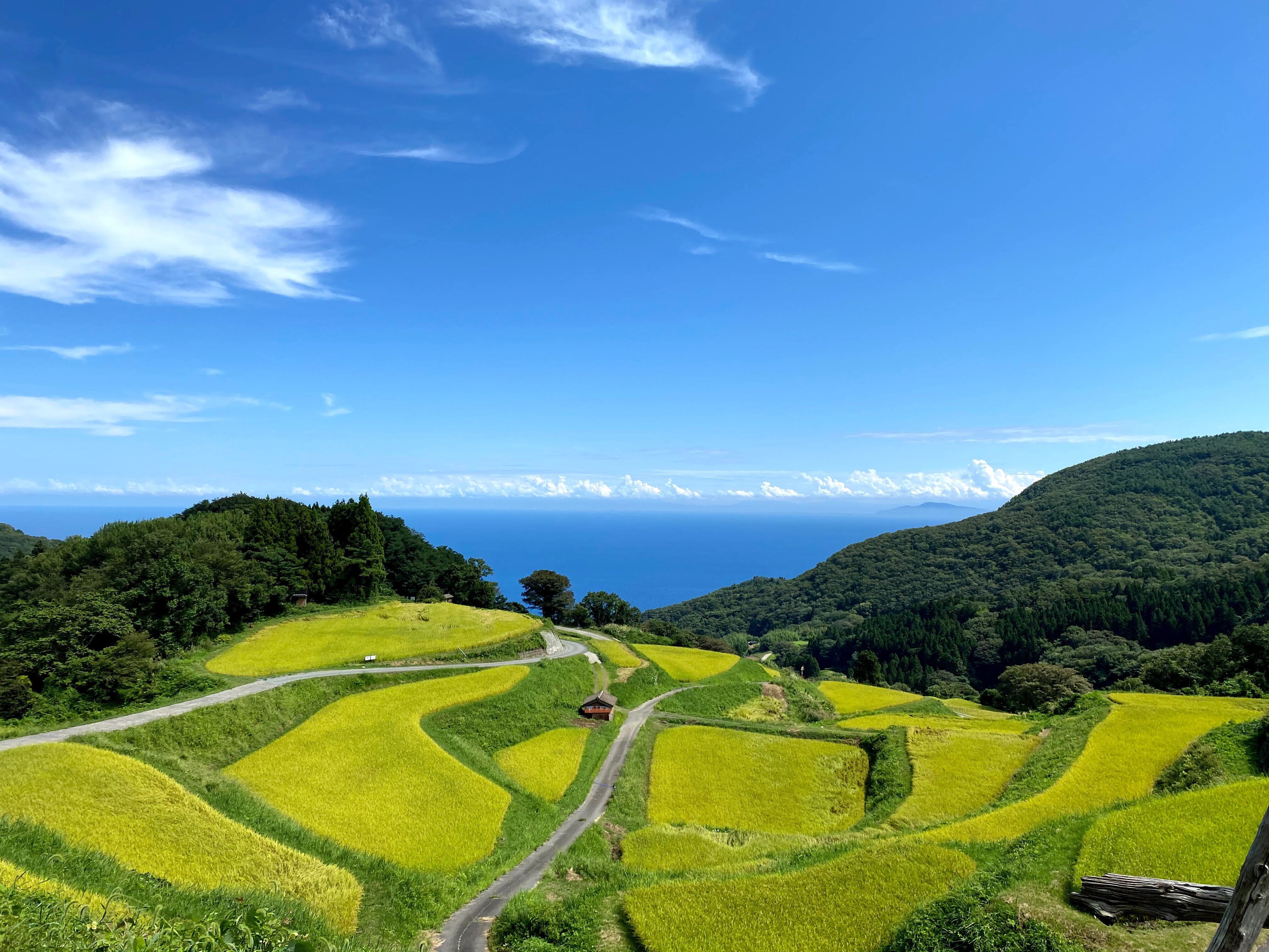 2026年 岩首昇竜棚田 - 出発前に知っておくべきことすべて