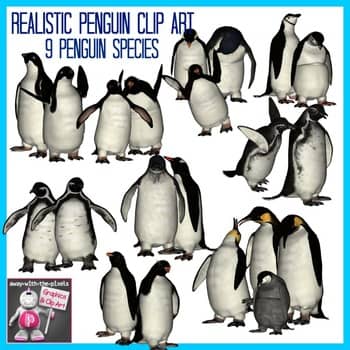 Realistic Penguins Clip Art Images - 9 Penguin Species by