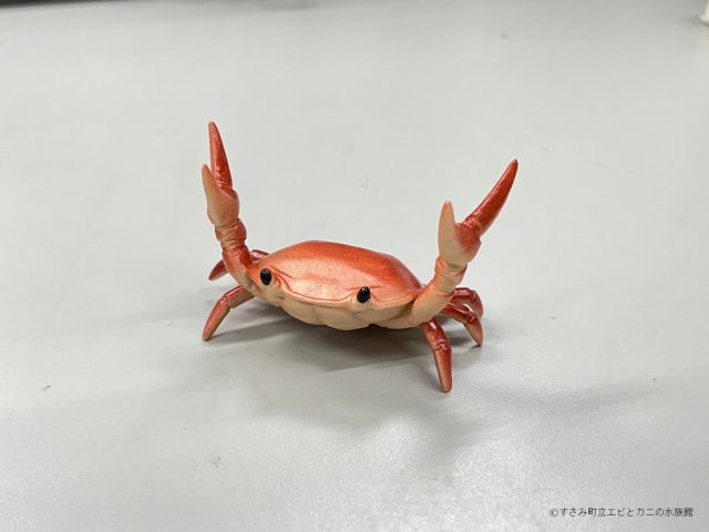 好評発売中！ カニペンホルダー！！ | すさみ町立エビとカニの水族館