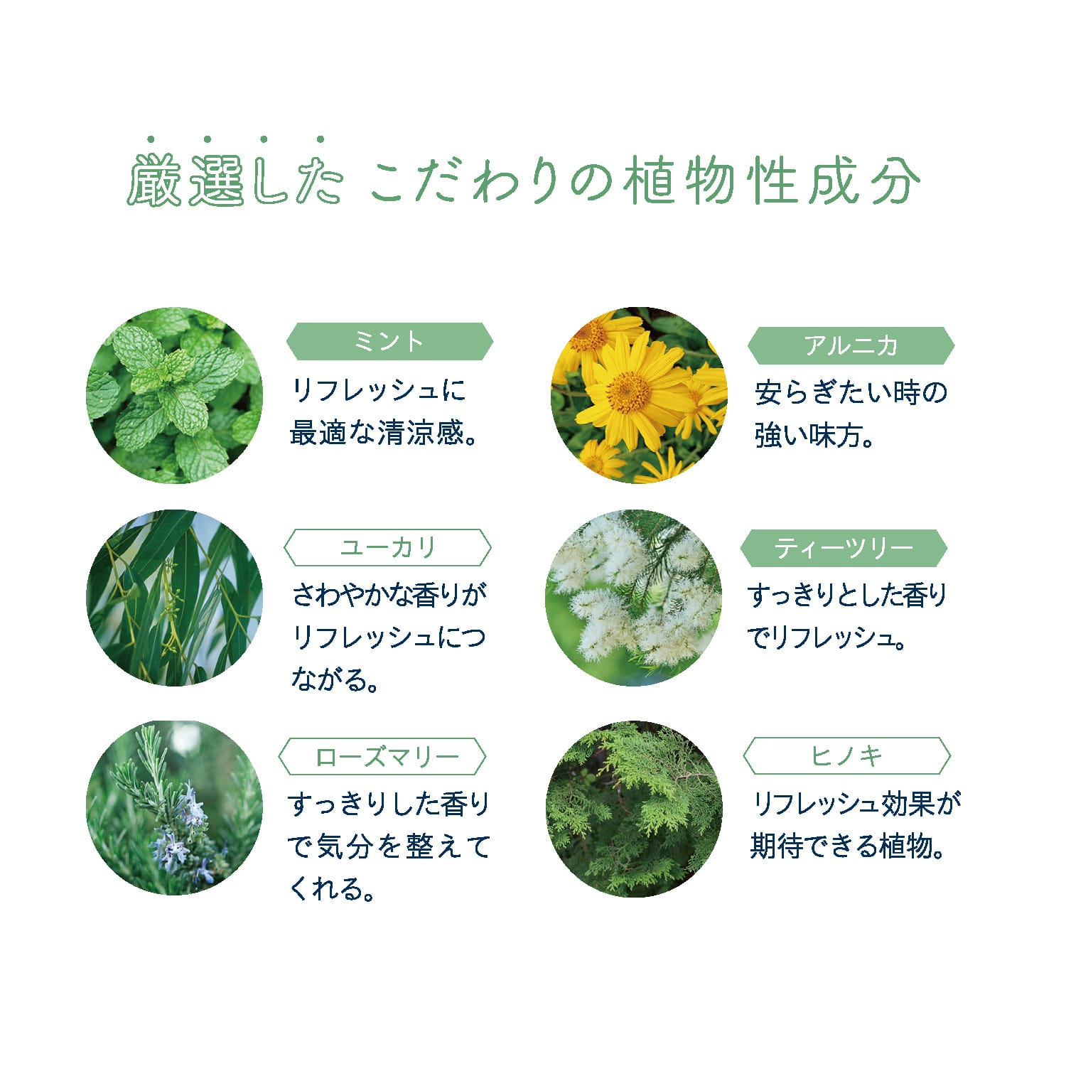 エリクシノール CBD ロールオン 450 〈チルミント〉 | CBDオイル