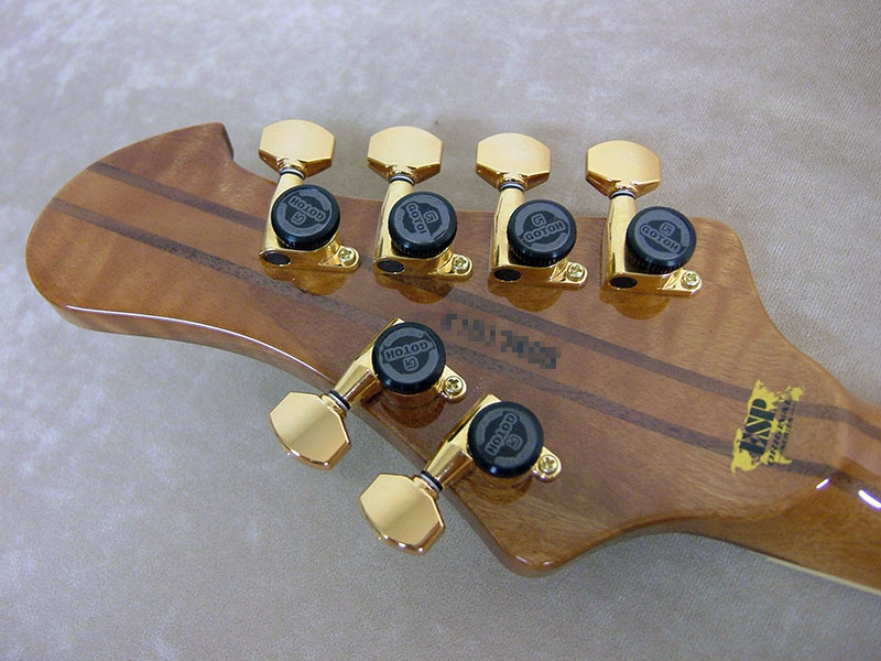 STREAM-GT Custom | ESP GUITARS