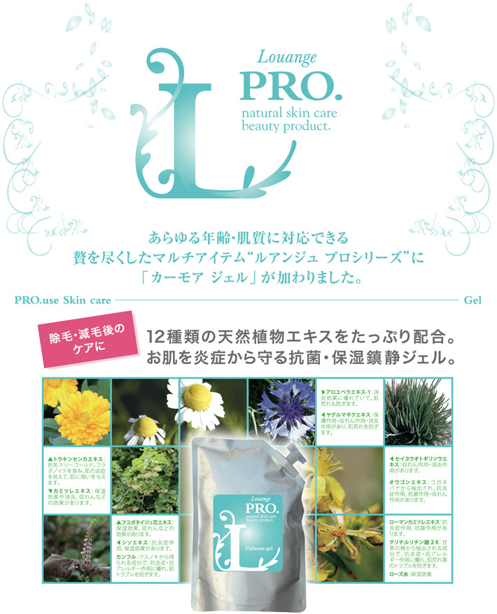 ESTLAB SHOP / ルアンジュプロ カーモアジェル(抗菌・保湿鎮静ジェル)500g