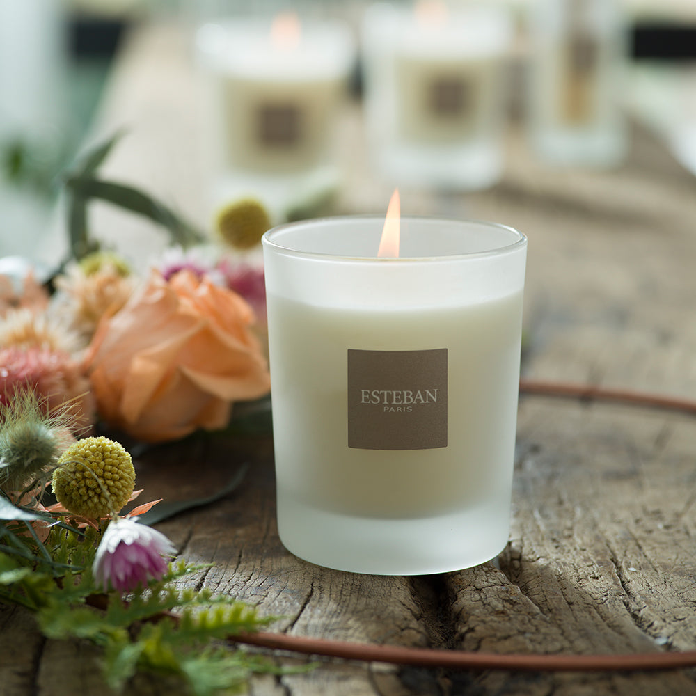 セダーキャンドル – ESTEBAN
