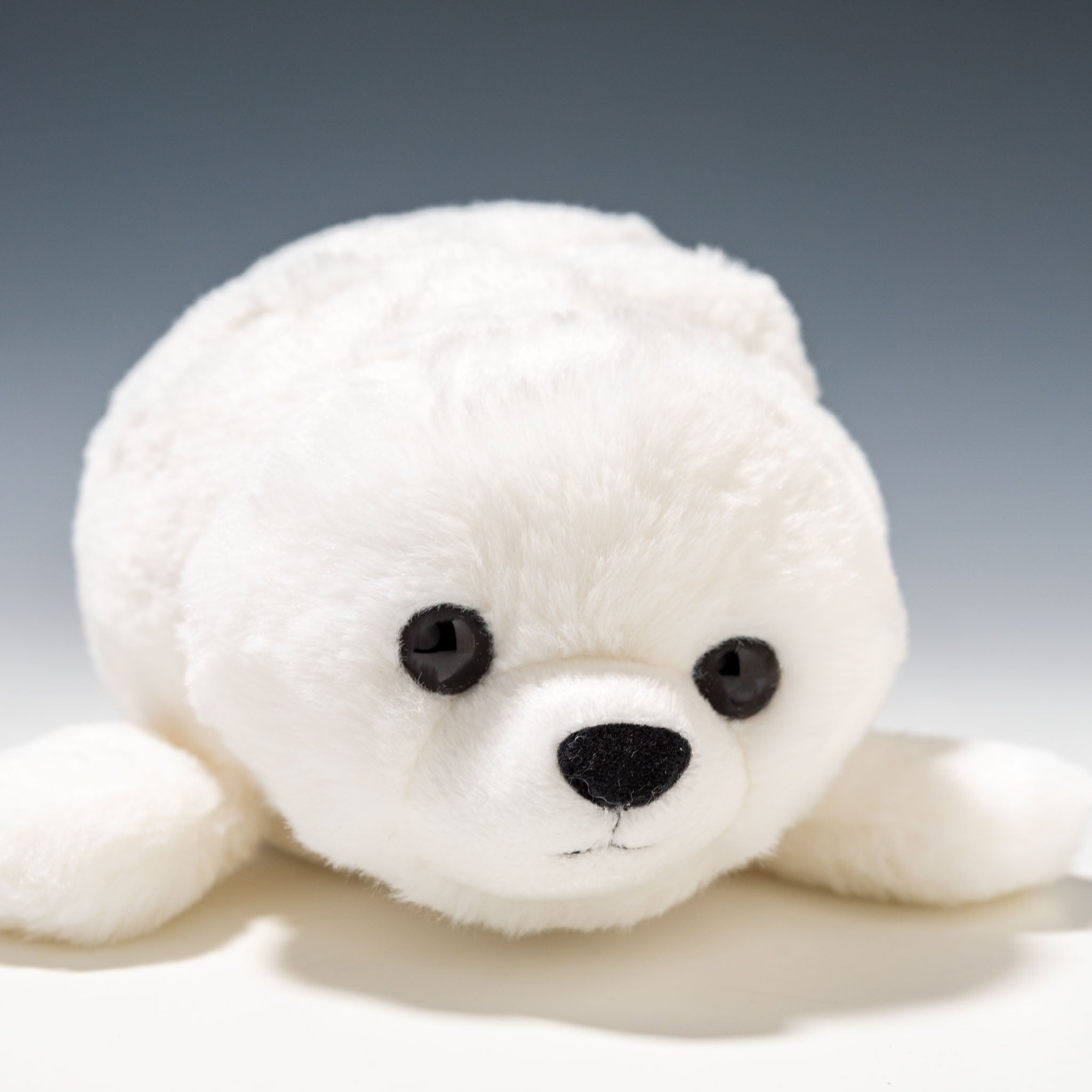 CUTE キュート販売 ぬいぐるみ マリンコレクション ふわふわアザラシ S